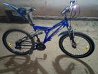 Dsi Bicycle
