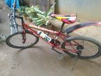 DSI Bicycle