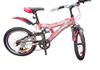 DSI Bicycle in Kandy City
