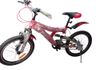 DSI Bicycle in Kandy