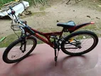 Dsi Bicycle