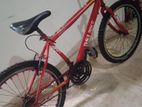 dsi bicycle