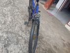 DSI Bicycle