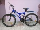 Dsi Bicycle