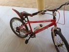 DSI bicycle