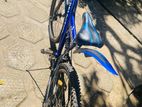 DSI Bicycle