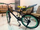 Dsi Bicycle
