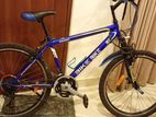 DSI Bicycle Knight