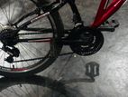 DSI Bicycle