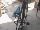 DSI Bicycle