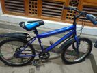 DSI Bicycle