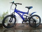 DSI Bike