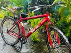 DSI Bike