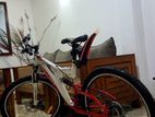 DSI Bike