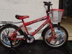 DSI Kids Bicycle
