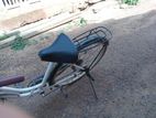 DSI Bike