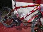 Dsi Bicycle