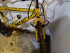 DSI BIKE(26'INCH TYRE)