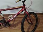 DSI Bycicle