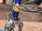 DSI Bicycle