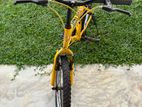 DSI Bicycle