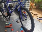DSI cycle