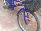 DSI Bicycle