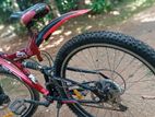 DSI Bicycle