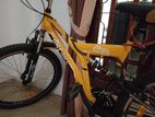 DSI Galaxy Bike 26