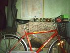 DSI Gents Sport Bicycle