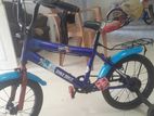 DSI Kids Bicycle