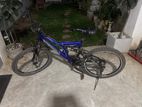 DSI Mountain Bicycle