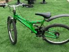 DSI Mountain Bicycle