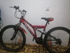 DSI Mountain Bicycle