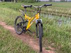 DSI mountain Bicycle