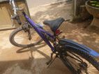 DSI Mountain Bicycle