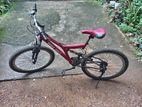 DSI Mountain Bicycle