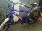 Dsi Mountain Bike