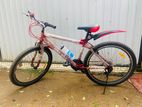 DSI Mountain Bike