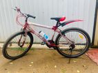 DSI Mountain Bicycle