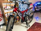 DSI Mountain Bicycle