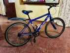 DSI Mountain Bicycle