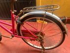 DSI Pink Ladies Bicycle