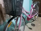 DSI Princess 24"