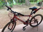 DSI Size 24 footcycle