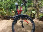 DSI Size 26 Bicycle