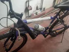 DSI Bicycle