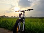 DSI SUS550 Mountain Bicycle