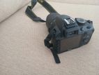 Nikon DSLR D3100