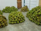 දුරියන්